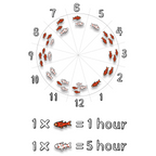Mystic Koi Pond time-reading guide for red and white koi markers